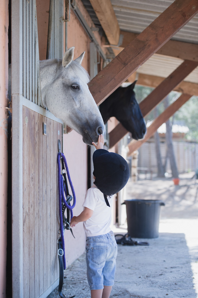 Little boy touches horse's nose in a stable