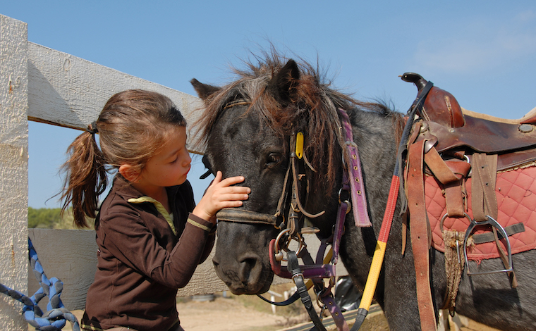 little girl and shetland pony with a western saddle