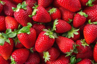 strawberries