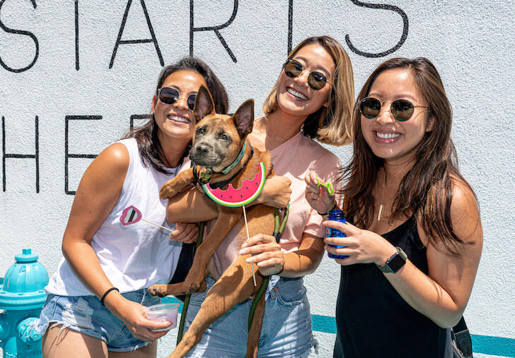wags-and-walks-Adoption-Event-smiling-women-with-a-dog