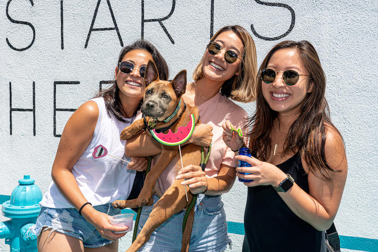 smiling women at wags and walks with a dog