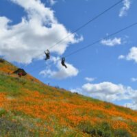 people ziplining in California