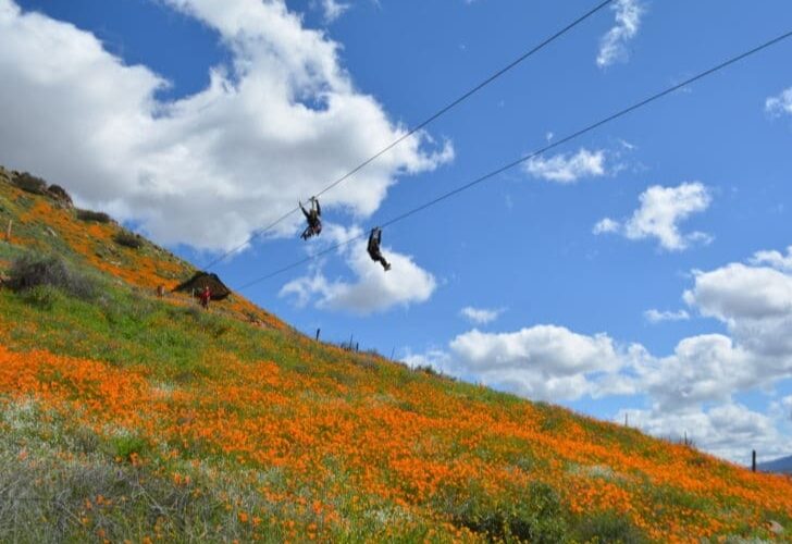 people ziplining in California