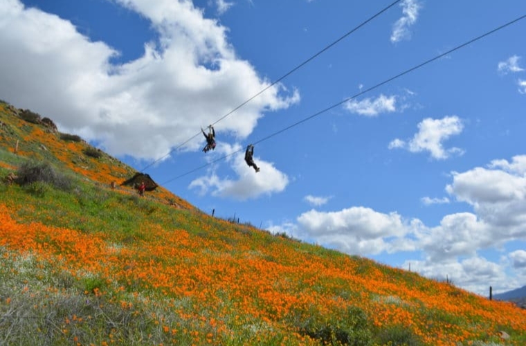 15 Things To Do In Corona With Kids - MomsLA