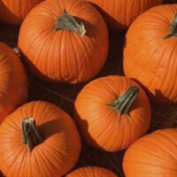 pumpkins-featured-image-for-Trick-or-treat-alternatives