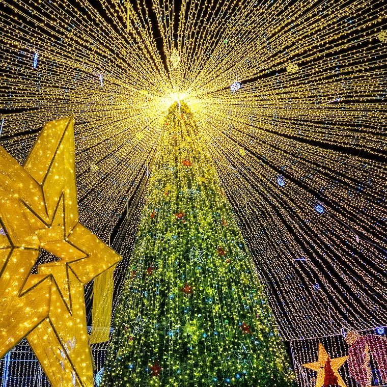 Imaginarium Christmas Tree, photo used with permission