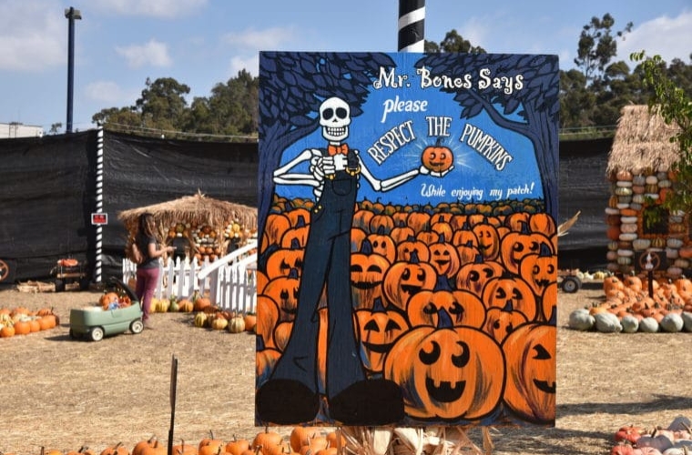 Mr. Bones Pumpkin Patch sign