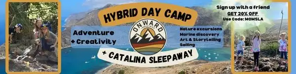 Onward Summer Camp premium banner ad 2025