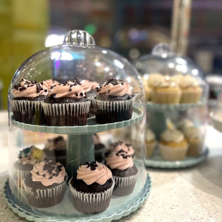 Chocolate cupcakes at Sweet Spot Discovery Cube OC