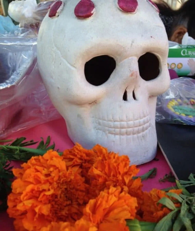 decorations for Day of the Dead - a skull and marigolds