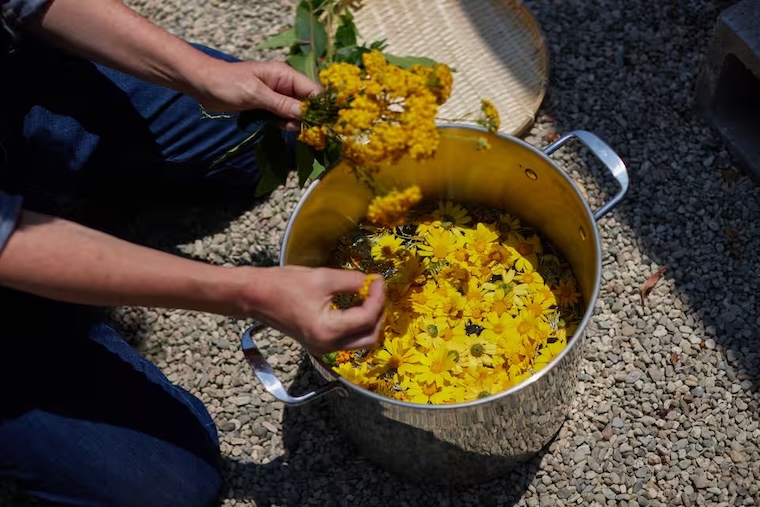 flower dye airbnb