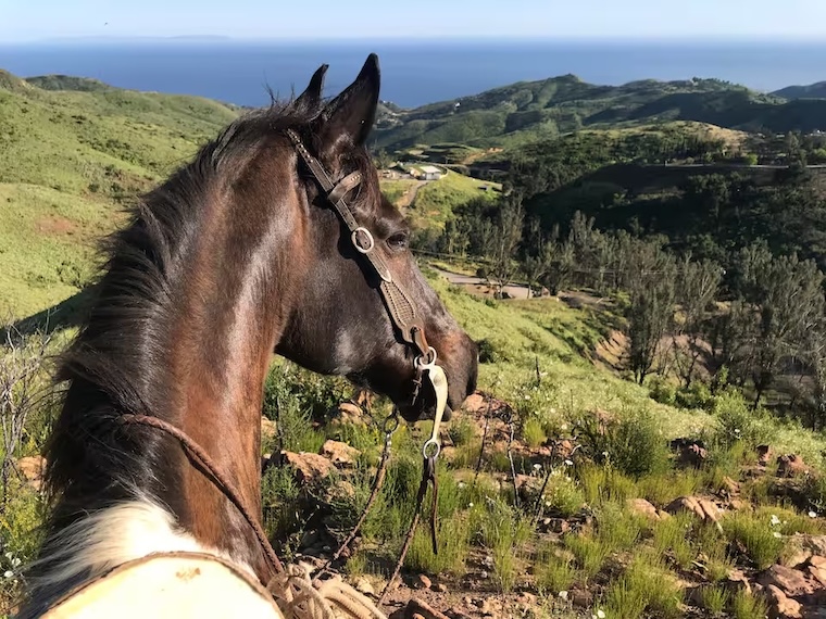 horseback riding in Malibu
